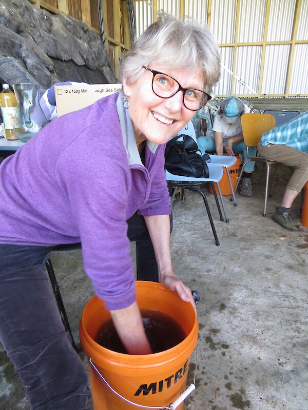 Heather Verstappen hands-on at the Motueka Rudolf Steiner School Trust workshop